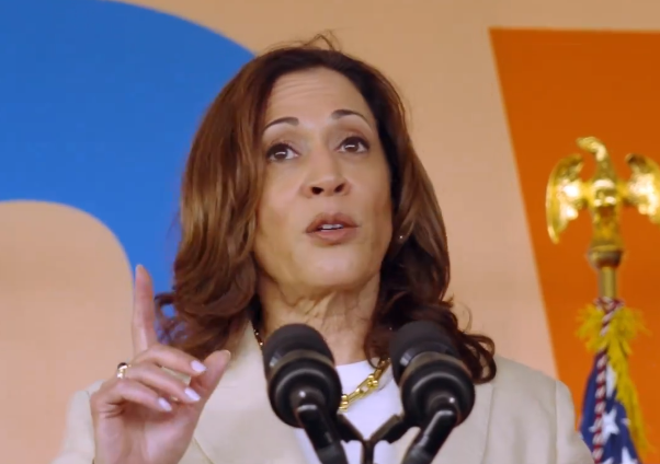 Kamala Harris – A viable choice for American women? 
