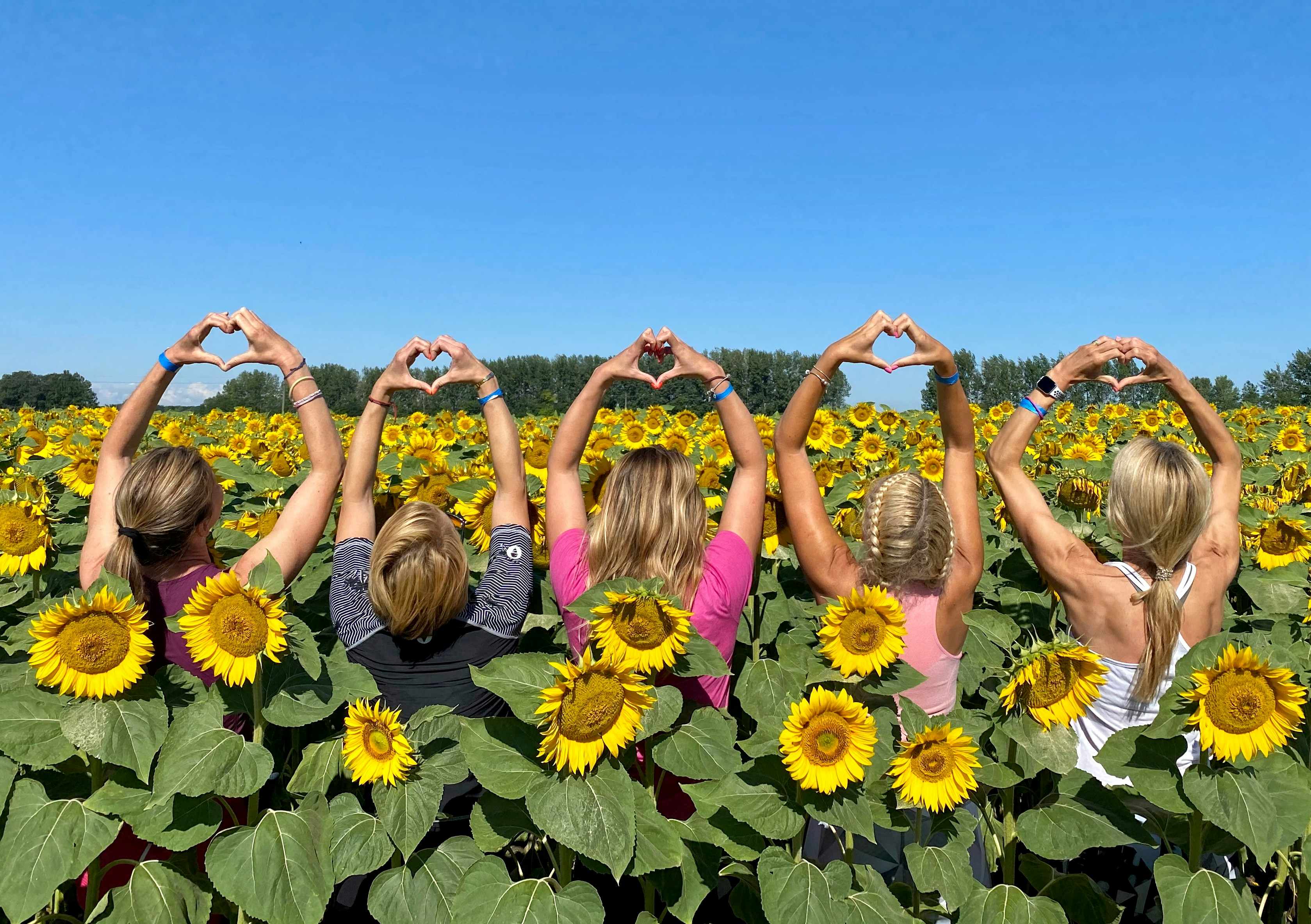 A call for unity: Building an undefeatable movement through connection