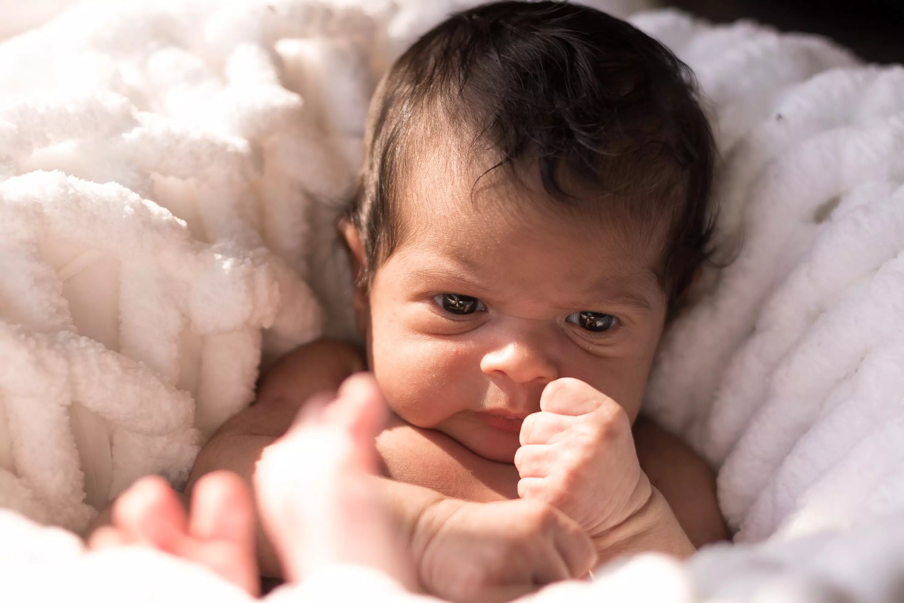 Taking progesterone following chemical abortion \"may increase the risk of ongoing pregnancy” - Abortion docs