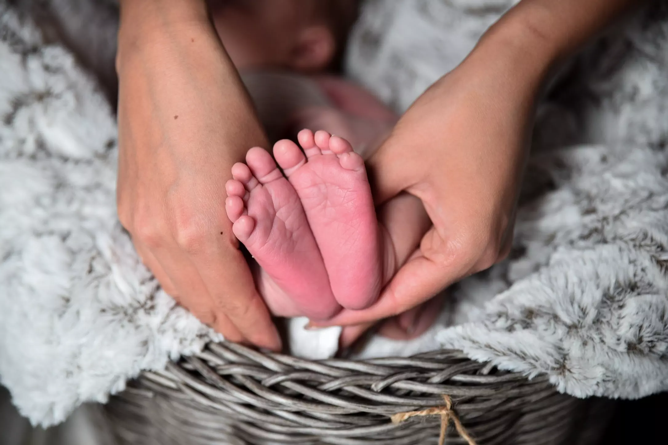 Pregnancy help network going on four decades of serving women in the “Abortion destination of the Midwest”