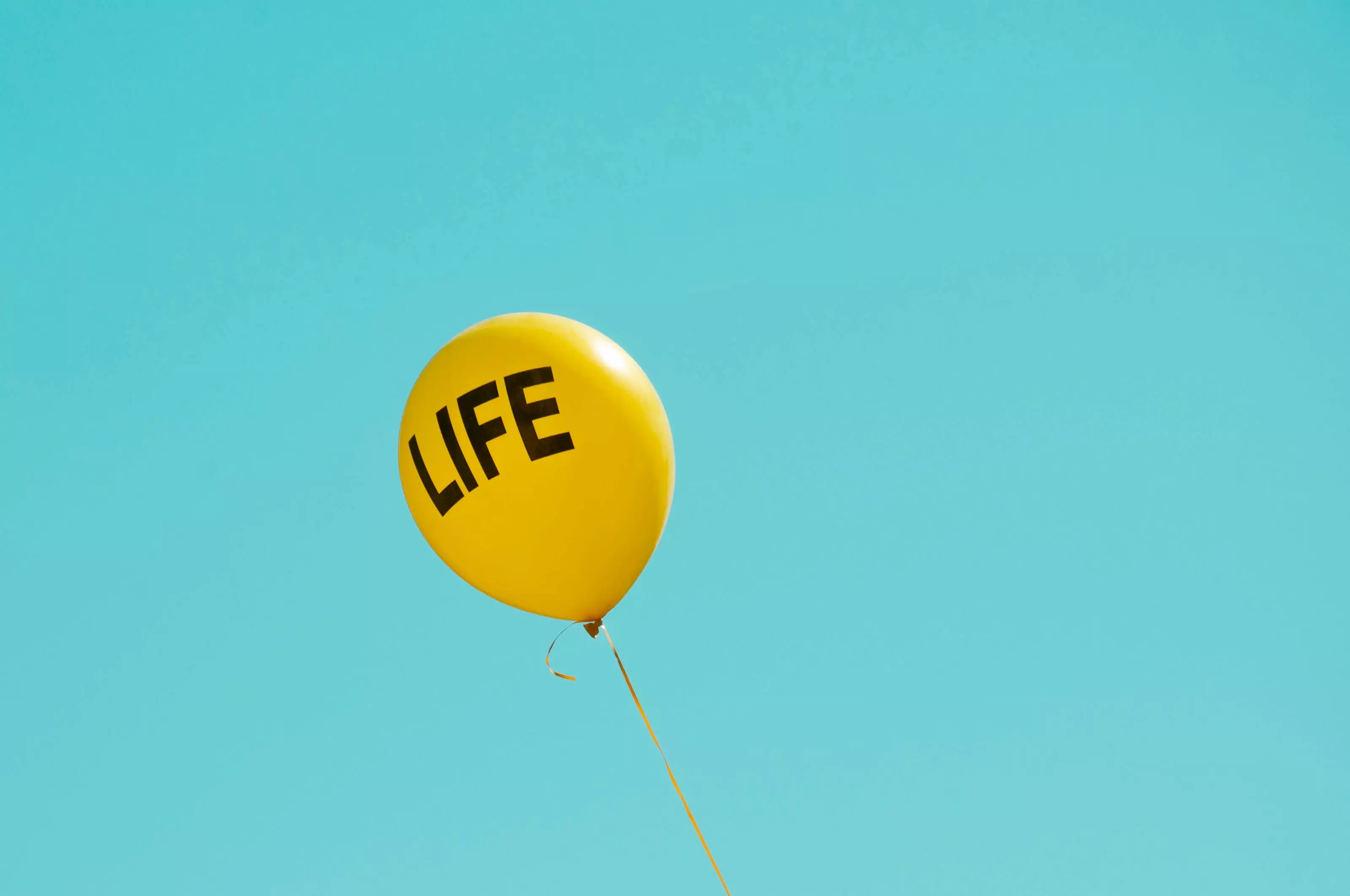Pro-life counselors \