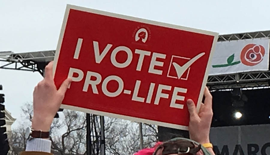 A pro-life supporter displays a Susan B. Anthony List get-out-the-pro-life-vote sign during the 2020 March for Life rally