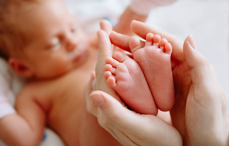Conceived in Rape: A Life Turned to Beauty and Joy