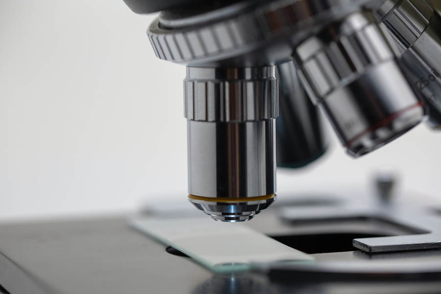 Pro-life lawmakers urge Trump to end federal funding for human embryonic stem cell research