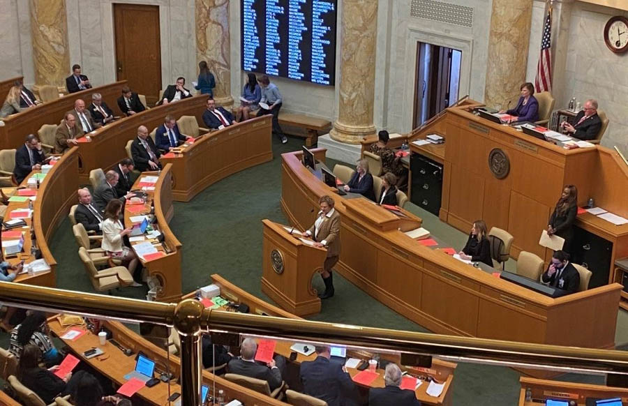 Pregnancy network has a hand in state resolution honoring pregnancy help