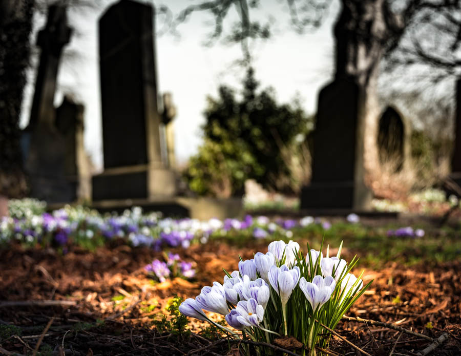 Chicago Catholics bury the remains of indigent adults and unborn babies in annual ceremony