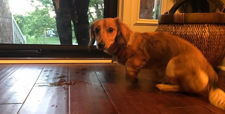 The Next to Walk in is an Opportunity